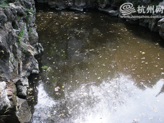 水面一层油污笼罩,已不见往日的清澈