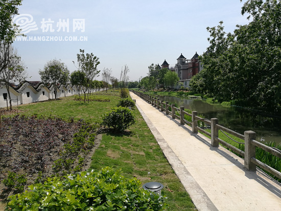 记者出击     杭州网讯 机场港是笕桥街道的一条典型郊区河道,上百年