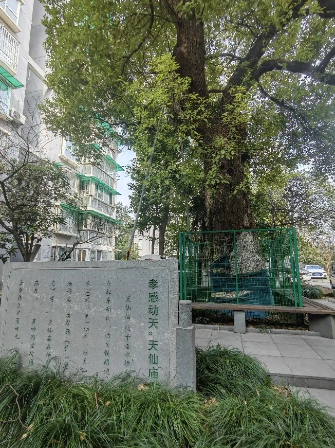 配图2