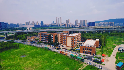 配图5