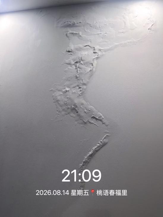 业主家墙面脱皮。图片由业主提供 配图7
