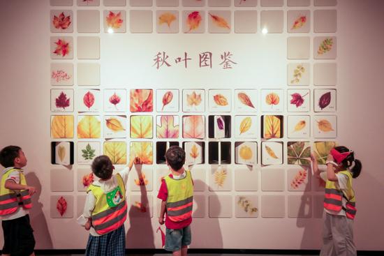 配图4